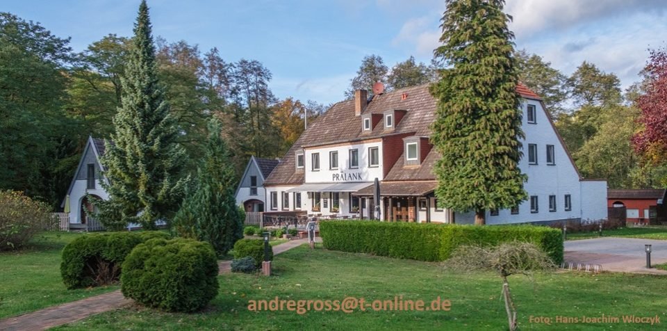 Strelitzius Blog – Regionaljournalismus, Kultur und digitale Heimatliebe im Wandel